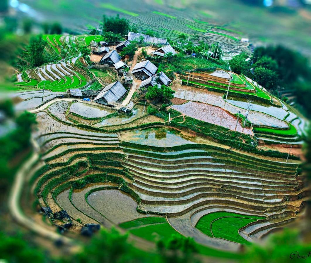Tavan Dragon House Lào Cai Buitenkant foto